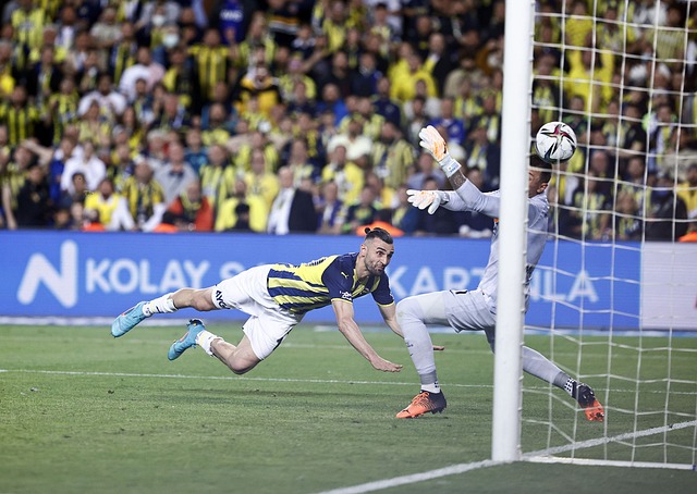 训体系的资 训体系的资