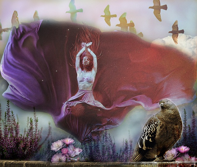 追逐職業夢 追逐職業夢