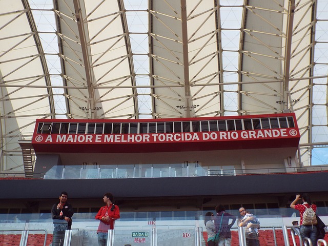 将成为未来 将成为未来