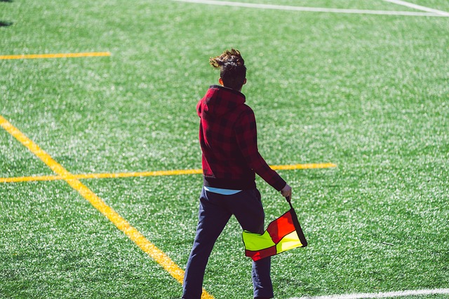 作为中国举 作为中国举