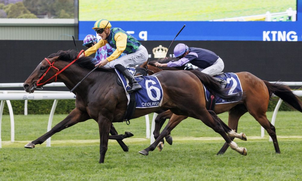 位与愿景 位与愿景